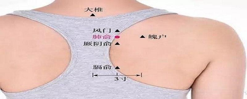 肺俞针刺手法 针刺肺俞技巧