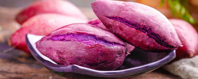 干的紫薯煮多久才熟 紫薯干粒要泡一下吗