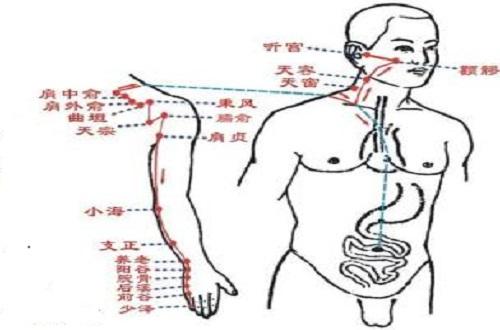 小肠经作用功效（小肠经的作用和功能主治）