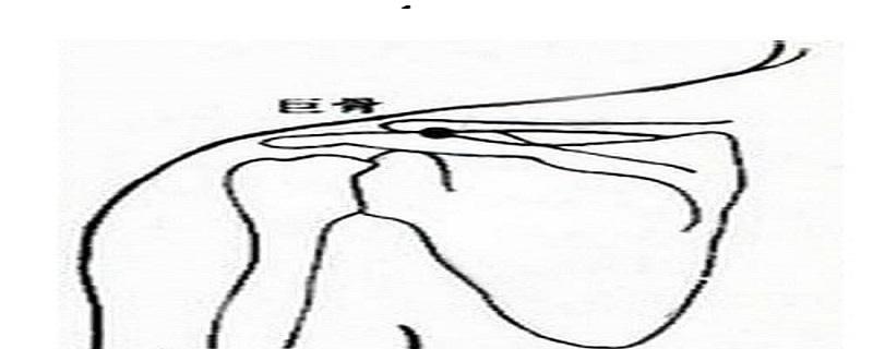 巨骨的位置及方向 巨骨的准确位置及作用