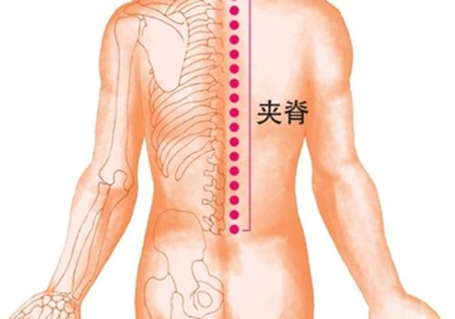 颈椎不好拔罐拔哪里 颈椎不好拔罐拔哪里图