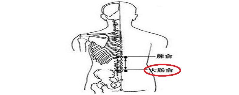 大肠俞怎么找最简单（大肠俞在哪里）