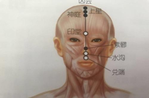 素髎准确位置图和作用 素髎的准确位置图和作用的准确位置图片