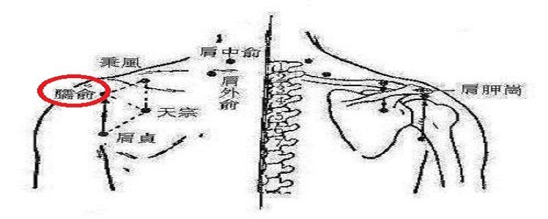 臑俞准确位置图 臑俞疼痛的原因