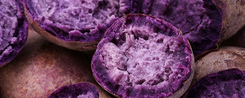 晚上吃紫薯会胖吗 晚上吃紫薯可以减肥吗