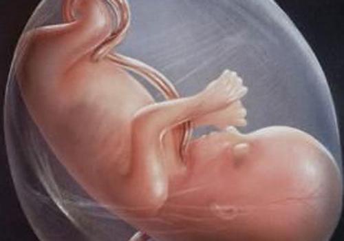 胎儿缺氧多久会有危险（孕29周胎儿缺氧多久会有危险）