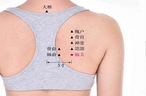 膈关的准确位置图 膈关的准确位置图和作用视频