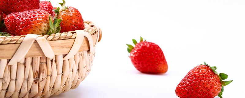 牛奶草莓和普通草莓的区别 牛奶草莓是用牛奶浇的吗