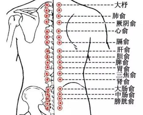 怎么疏通膀胱经 疏通膀胱经最简单的方法