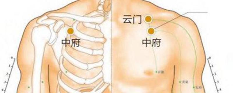 中府的准确位置图和作用（云门的准确位置图作用功效）