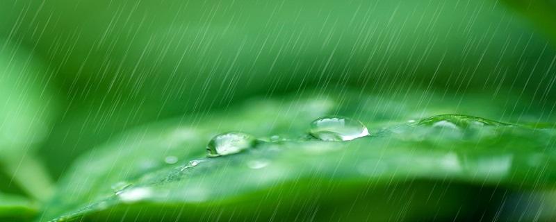 雨水是什么节气 雨水是什么节气的