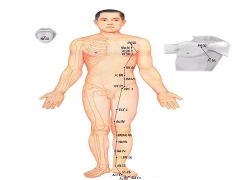 脾经的按摩方向 脾的按摩脾经的疏通按摩方向