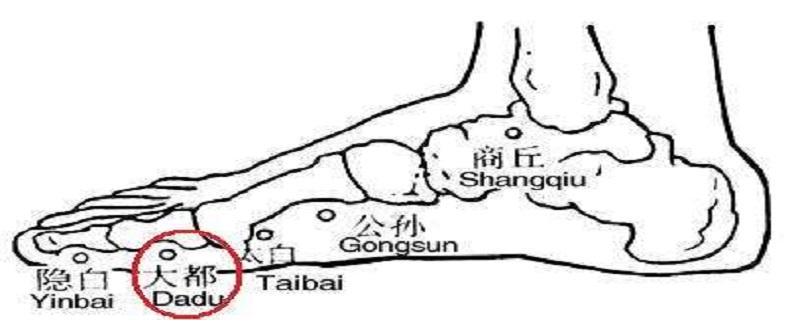 大都在什么位置图 大都的位置图