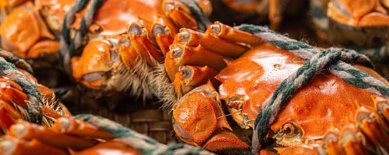 死一天的螃蟹能吃吗（死了一天的螃蟹可以吃吗?）