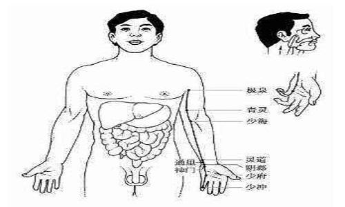 手少阴心经经络图（手少阴心经经络图走向）