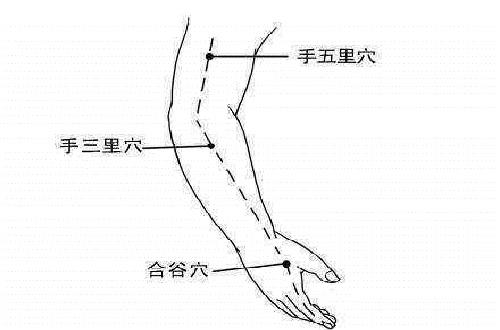 手五里的准确位置图和作用（手三里和手五里位置图）