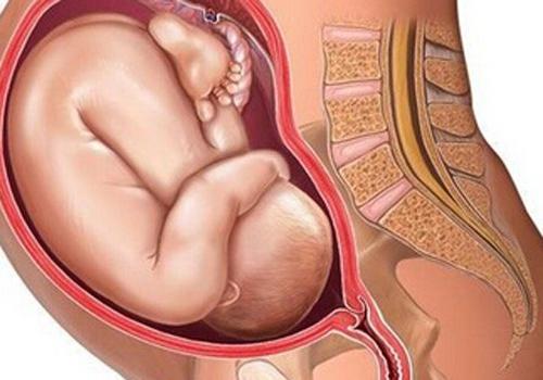 胎儿脐带要注意的问题 胎儿脐带怎么办