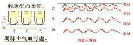 脉象弱是怎么回事（夏天脉象弱是怎么回事）