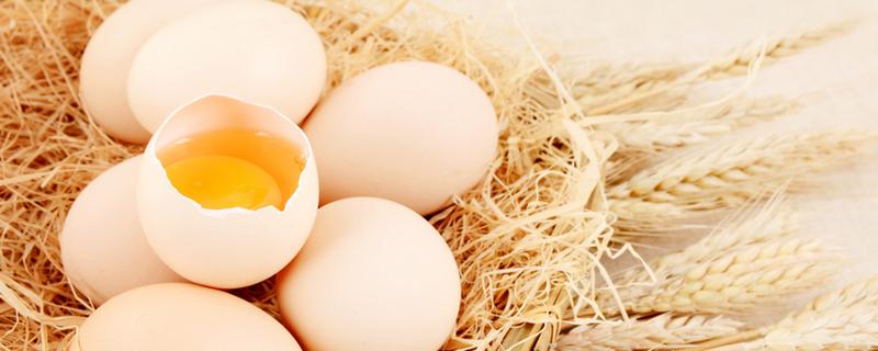 蛋黄吃多了有什么坏处 一天不能超过几个蛋黄