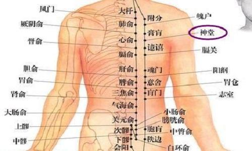 神堂的准确位置图（神堂的准确位置图和作用）