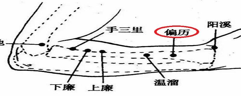 偏历的准确位置（偏历的准确位置图和作用视频）