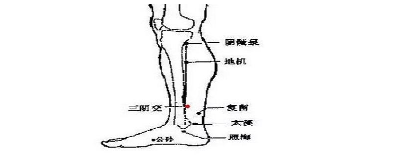 三阴焦位置图怎么按摩（三阴焦位置图要怎样按摩）