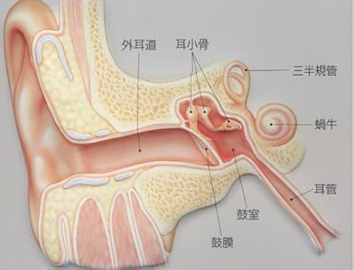 耳朵里面疼是怎么回事（耳朵里面疼是怎么回事用手一碰就疼）