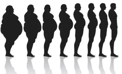 减肥要注意什么 遵守了这3个步骤减肥就成功了一半