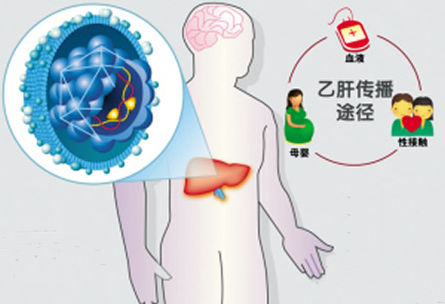 乙肝病毒携带者能生孩子吗 乙肝病毒携带者能生孩子吗?