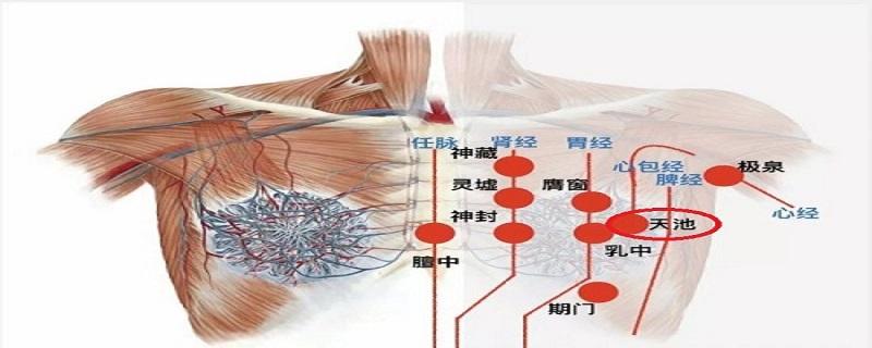 天池的准确位置图视频（天池的准确位置图视频教学）