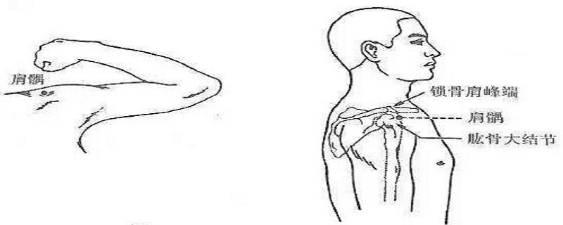 肩髃如何针刺（肩髎怎么刺）