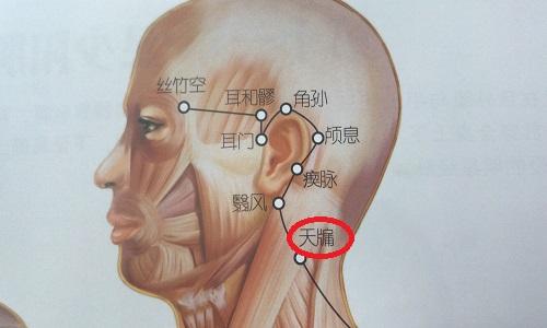 天牗的准确位置图（天牖的准确位置图作用功效）