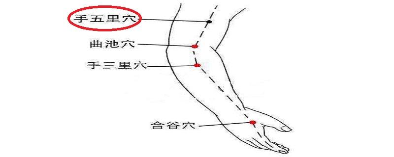 手五里的准确位置图 手五里的准确位置图和作用的准确位置图片