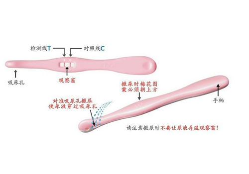 验孕棒怎么使用 验孕棒怎么使用的步骤视频