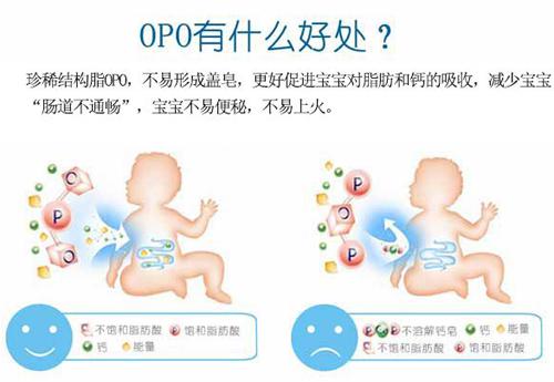 opo配方的奶粉有什么优点 4点你要知道