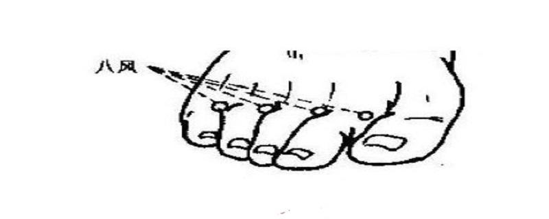 八风的准确位置图片 八邪的准确位置图作用