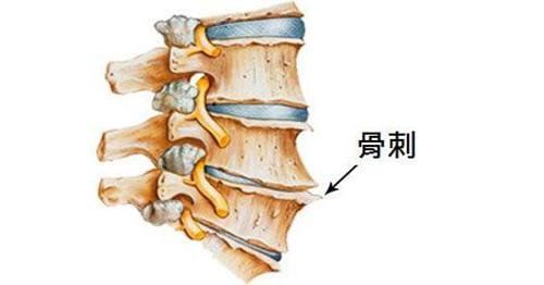 有些病不用治 有些病不用治医生和疾病治愈的关系