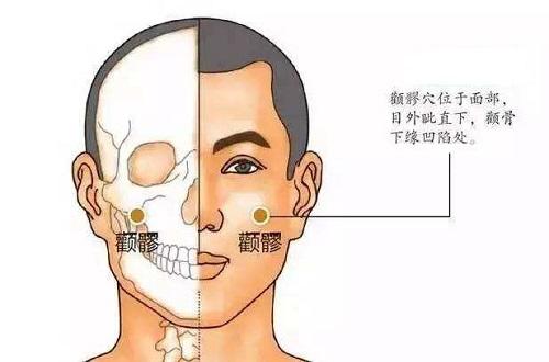 颧髎的准确位置图片（颧髎的准确位置图片定位）