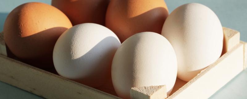 艾叶煮鸡蛋什么时候吃最好 在这个时间段吃最好吸收！