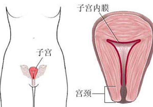 剖腹产后子宫多久恢复正常大小（剖腹产几天后子宫能恢复产前大小）