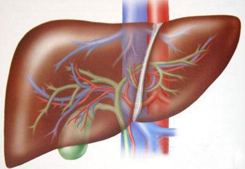 丙肝的症状 丙肝的症状及危害传播途径