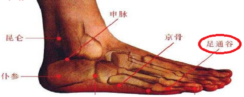 足通谷的功效与作用 足通谷是什么地方