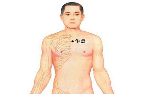 华盖的准确位置图作用 华盖的准确位置图作用功效