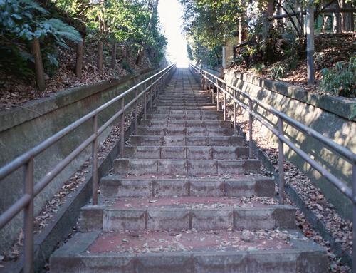 爬楼梯和跑步哪个减肥效果好 爬楼梯和跑步哪个减肥更有效果