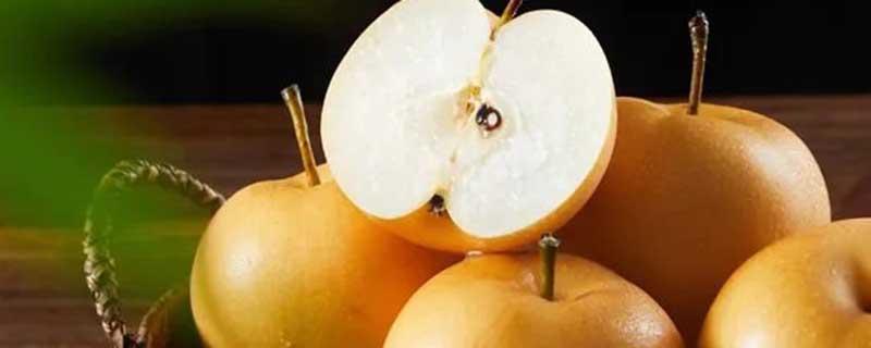 秋月梨的营养价值 秋月梨的营养成分