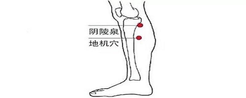 地机的准确位置图视频（地机的位置图片）