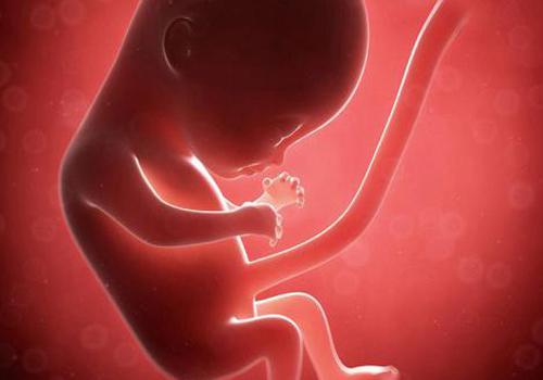 怀孕期间发烧对胎儿有影响吗（怀孕时发烧对胎儿有影响吗）