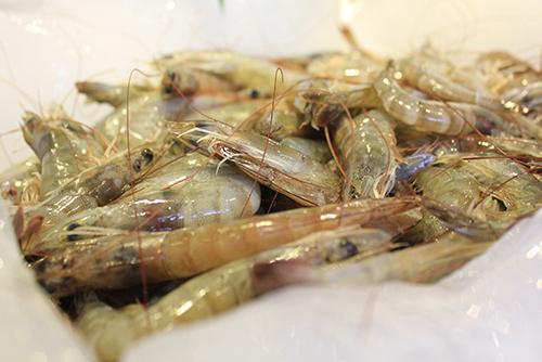 基围虾冷水下锅还是热水 基围虾可以生吃吗