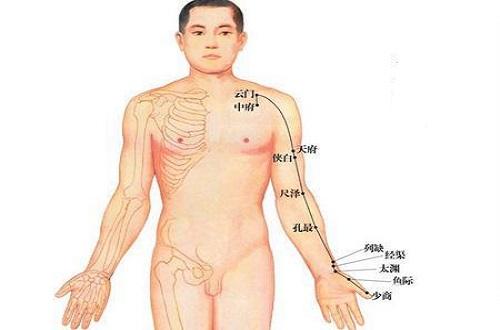 手太阴的准确位置图片 手部太阴的准确位置图片