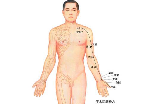 肺经当令时间（肺经当令时间是几点到几点）